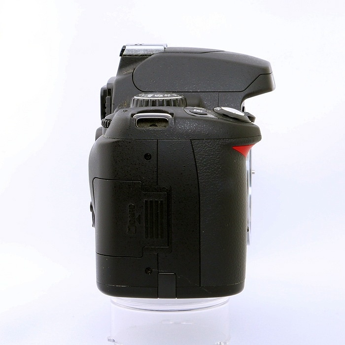 ニコン D40X ボデイ