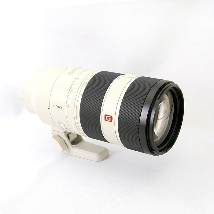 ソニー ソニー FE70-200/F2.8 GM OSS II