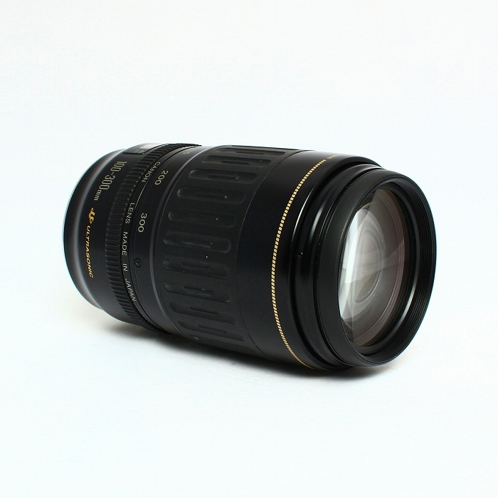 キヤノン EF 100-300/4.5-5.6