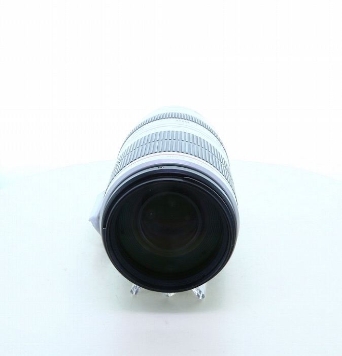 キヤノン EF100-400/4.5-5.6L IS II USM