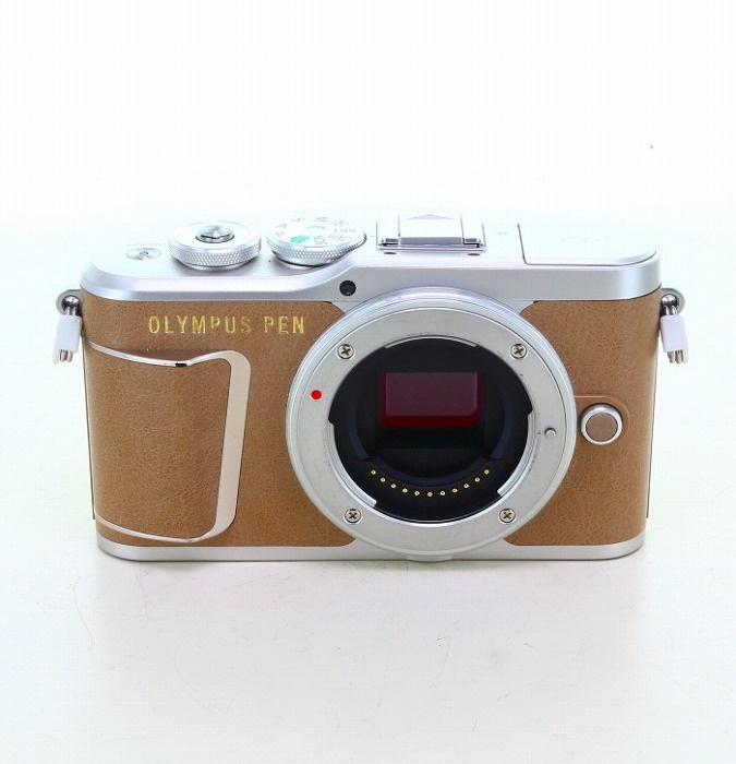 オリンパス E-PL9 ボデイ ブラウン