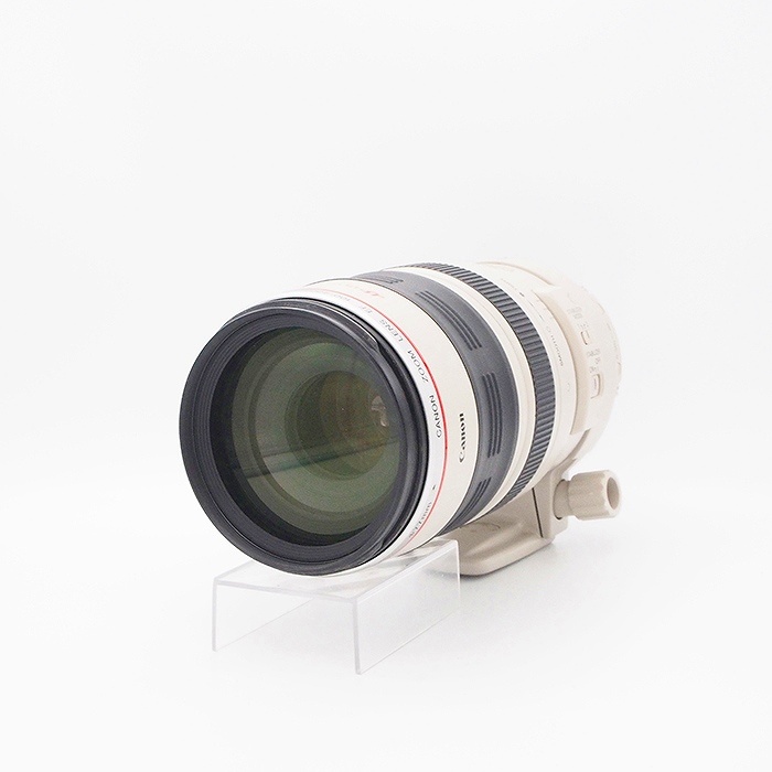 キヤノン EF100-400/4.5-5.6L IS USM