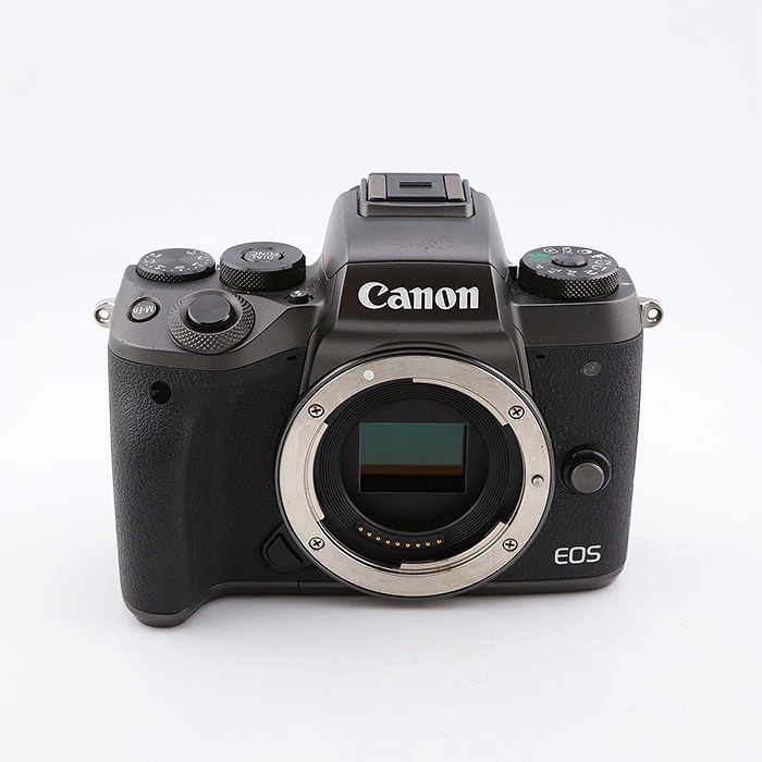 キヤノン EOS M5 ボデイ