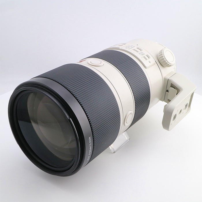 ソニー FE70-200/2.8 GM OSS