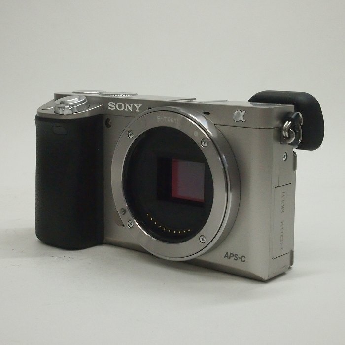 ソニー α6000 ボデイ シルバー