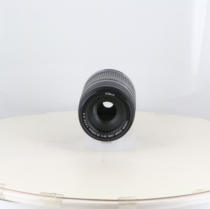 キヤノン EF-S55-250/4-5.6 IS II(2)