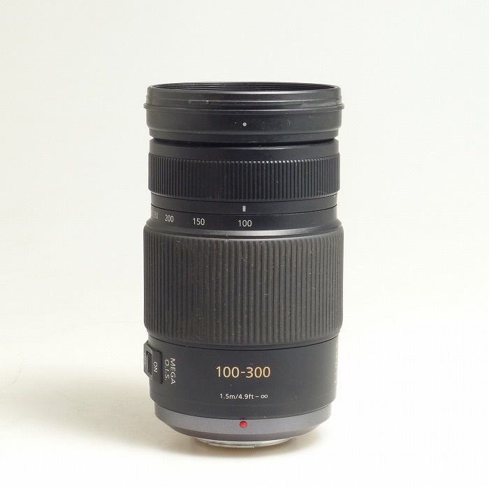 パナソニック G VARIO 100-300/4-5.6 MEGA O.I.S.