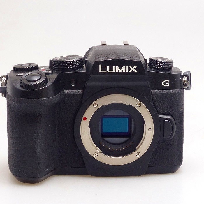 パナソニック DC-G99-K ボデイ