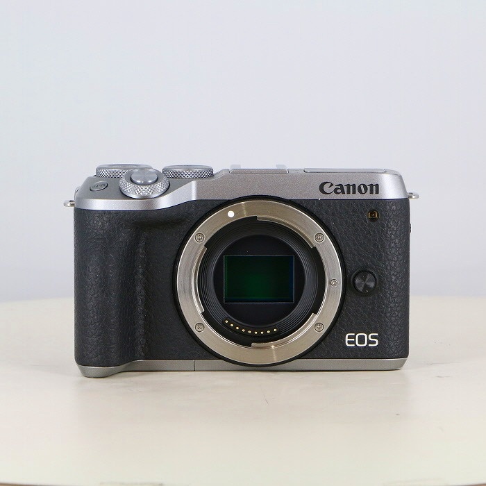 キヤノン EOSM6 MarkII ボディ シルバー