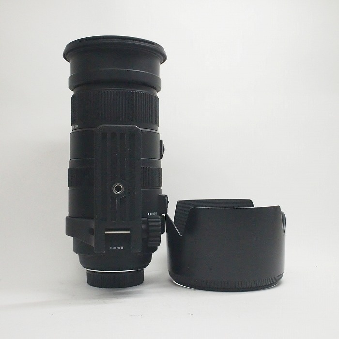 シグマ APO50-500/4.5-6.3 DG OS HSM ニコン用
