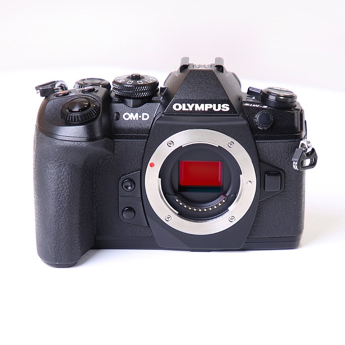 オリンパス OM-D E-M1 MARK2 ボデイ