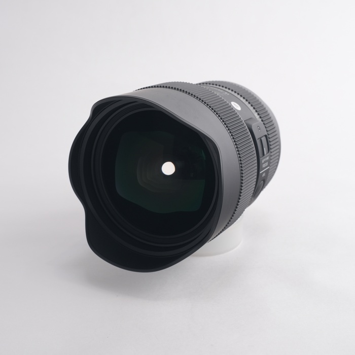 シグマ 14-24/2.8 DG DN ART ソニーEマウント用