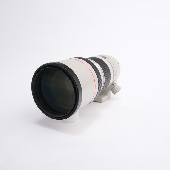 キヤノン EF300/4L USM