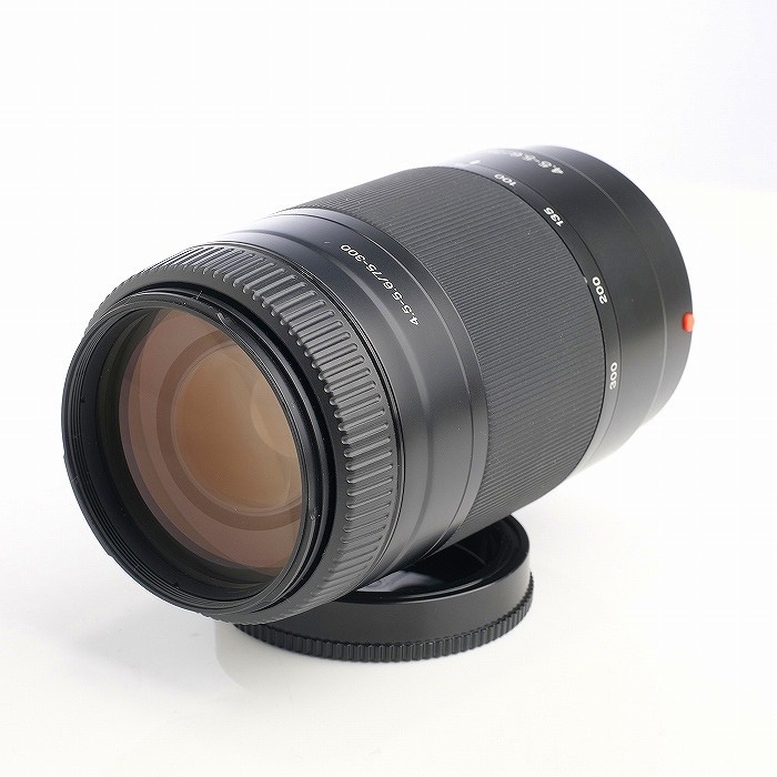 ソニー 75-300/4.5-5.6