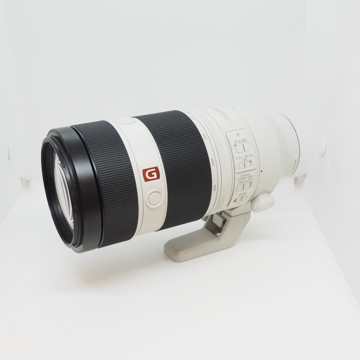 ソニー FE100-400/4.5-5.6 GM OSS