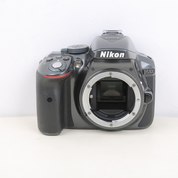 ニコン D5300 ボデイ グレー
