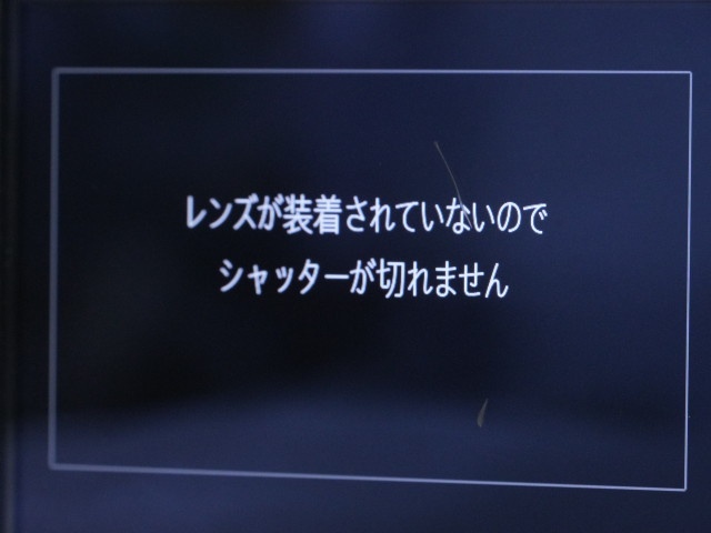 【難あり】 α550 (DSLR-A550)  Body