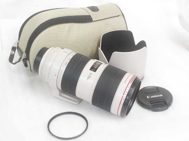 【難あり】 EF 70-200mm 1:2.8 L IS II USM