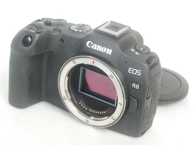EOS R8  Body