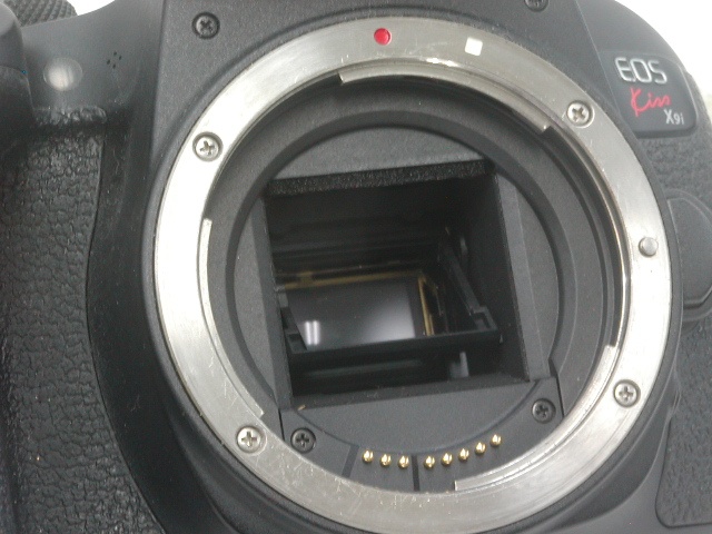 EOS Kiss X9i Body