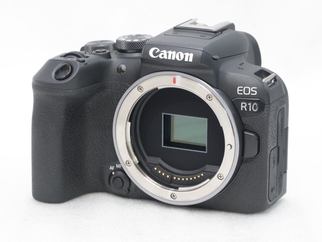 【美品】 EOS R10 Body