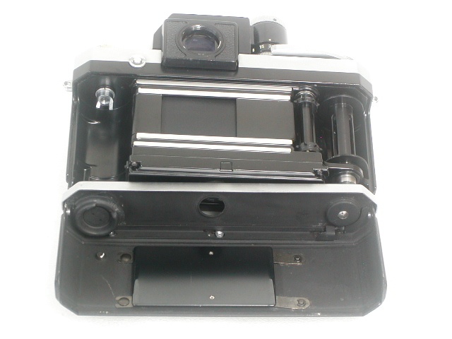 【難あり】 F (FTN)  Body  B#720****