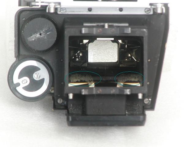 【難あり】 F (FTN)  Body  B#720****