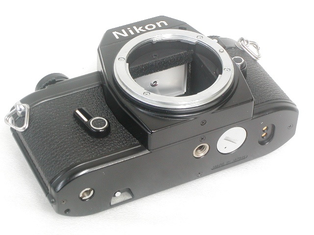 【難あり】 EM Body