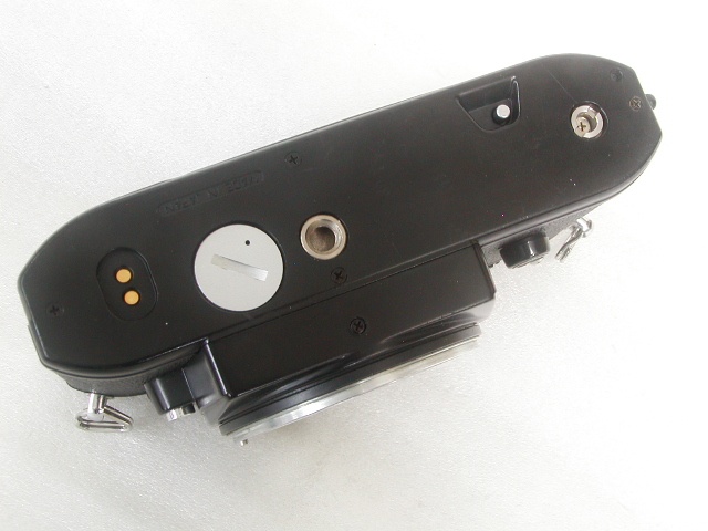 【難あり】 EM Body