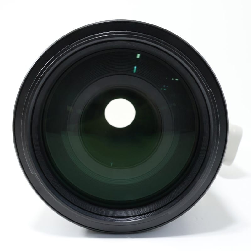 FE 100-400mm F4.5-5.6 GM OSS SEL100400GM