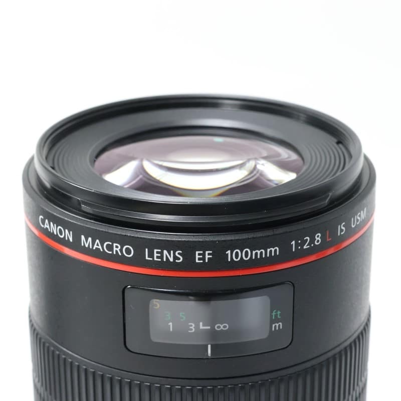 EF100mm F2.8Lマクロ IS USM