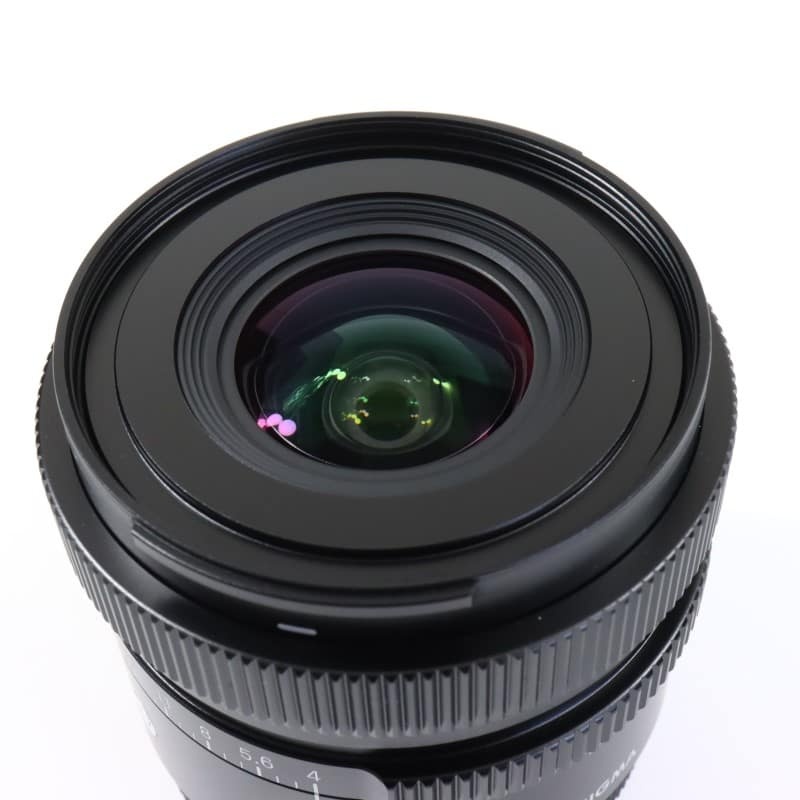 17mm F4 DG DN | Contemporary ソニーE