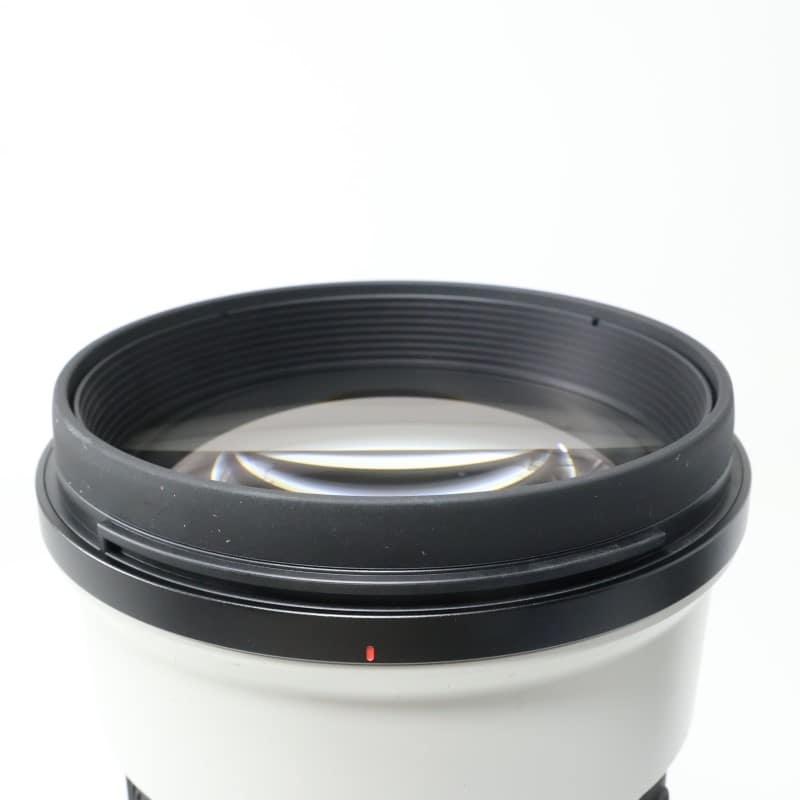 FE 300mm F2.8 GM OSS SEL300F28GM