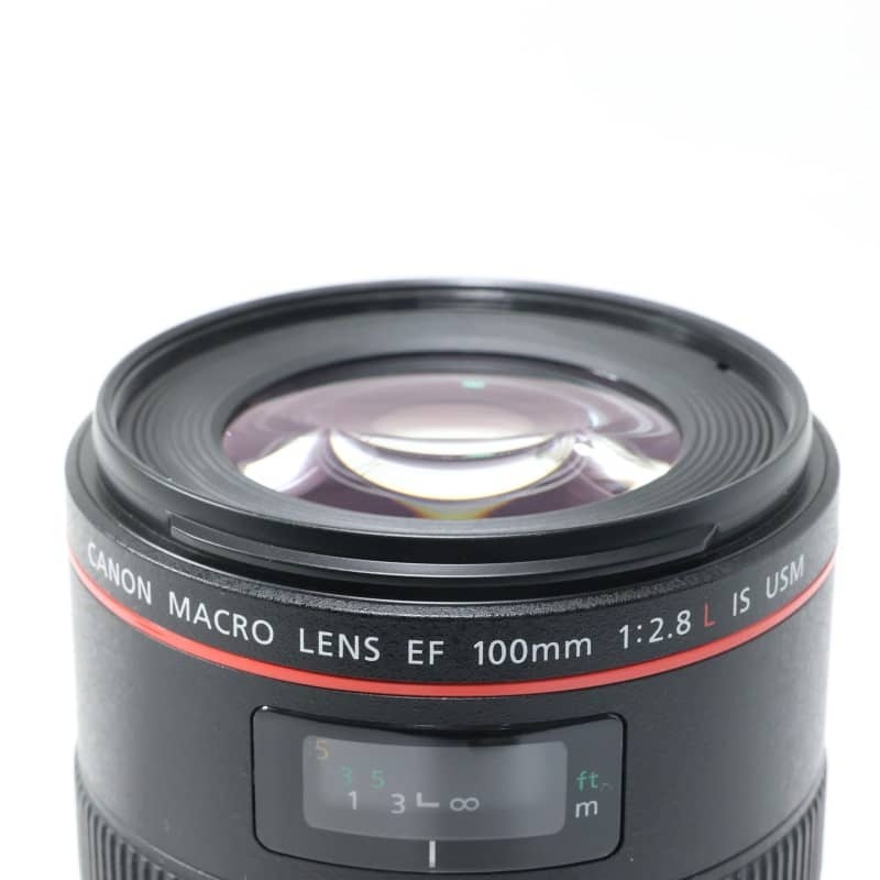 EF100mm F2.8Lマクロ IS USM