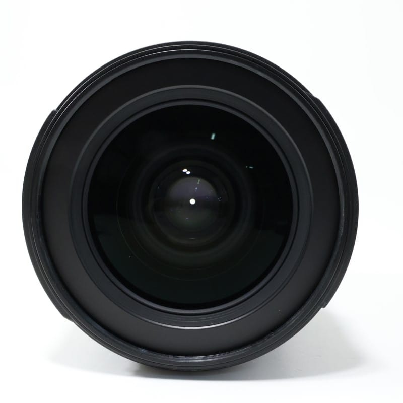 AF-S DX Zoom-Nikkor 17-55mm f/2.8G IF-ED