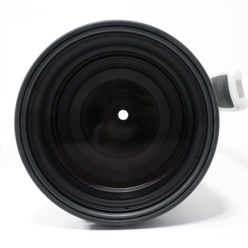 RF100-300mm F2.8 L IS USM