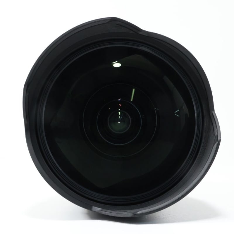 FE 12-24mm F2.8 GM SEL1224GM
