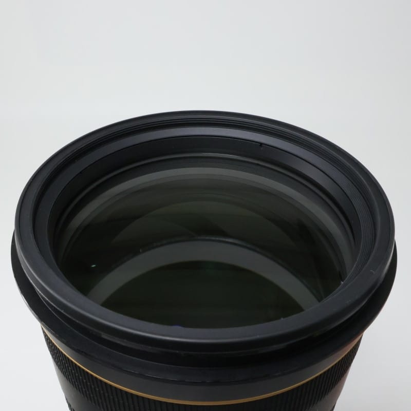 AF-S NIKKOR 120-300mm f/2.8E FL ED SR VR