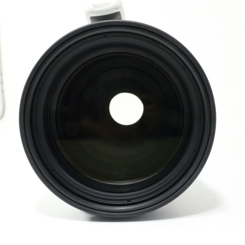 RF100-300mm F2.8 L IS USM