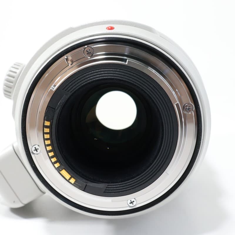 EF100-400mm F4.5-5.6L IS II USM
