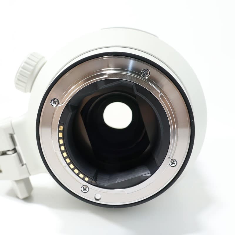 FE 100-400mm F4.5-5.6 GM OSS SEL100400GM