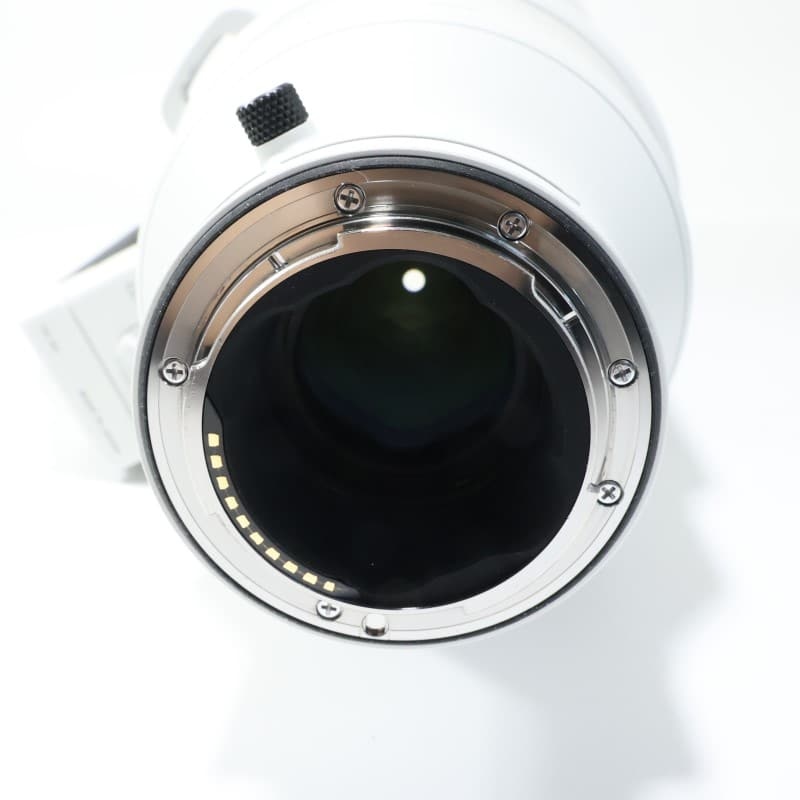 Sigma 300-600mm F4 DG OS | Sports ソニーEマウント