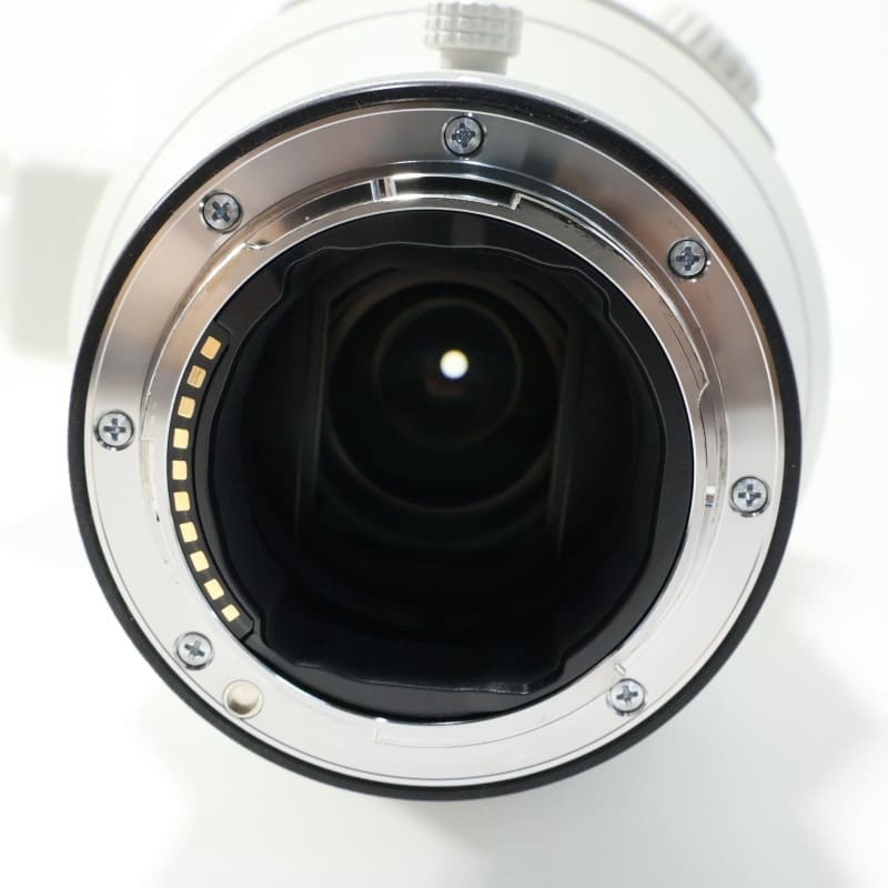 FE 600mm F4 GM OSS SEL600F40GM