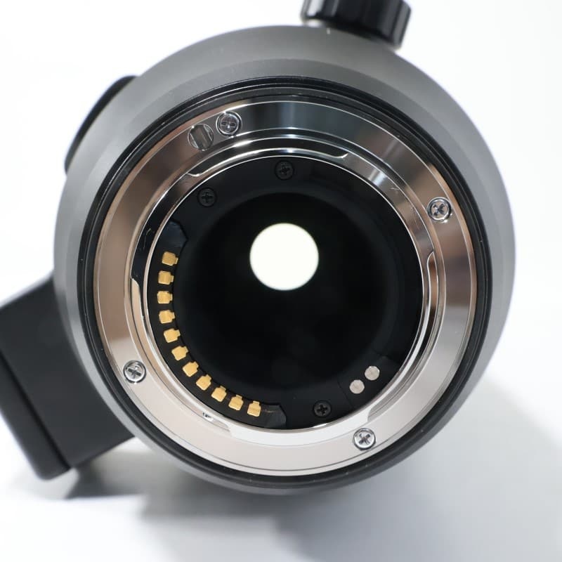 OM SYSTEM M.ZUIKO DIGITAL ED 150-600mm F5.0-6.3 IS