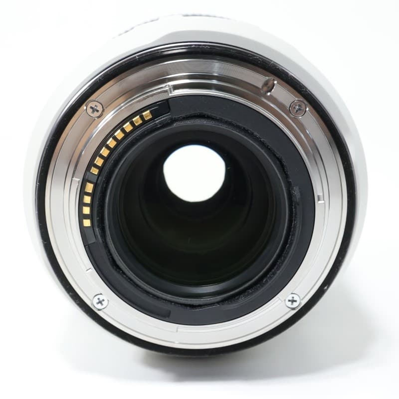 RF70-200mm F4 L IS USM