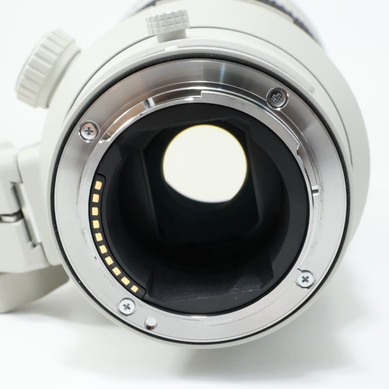 FE 300mm F2.8 GM OSS SEL300F28GM