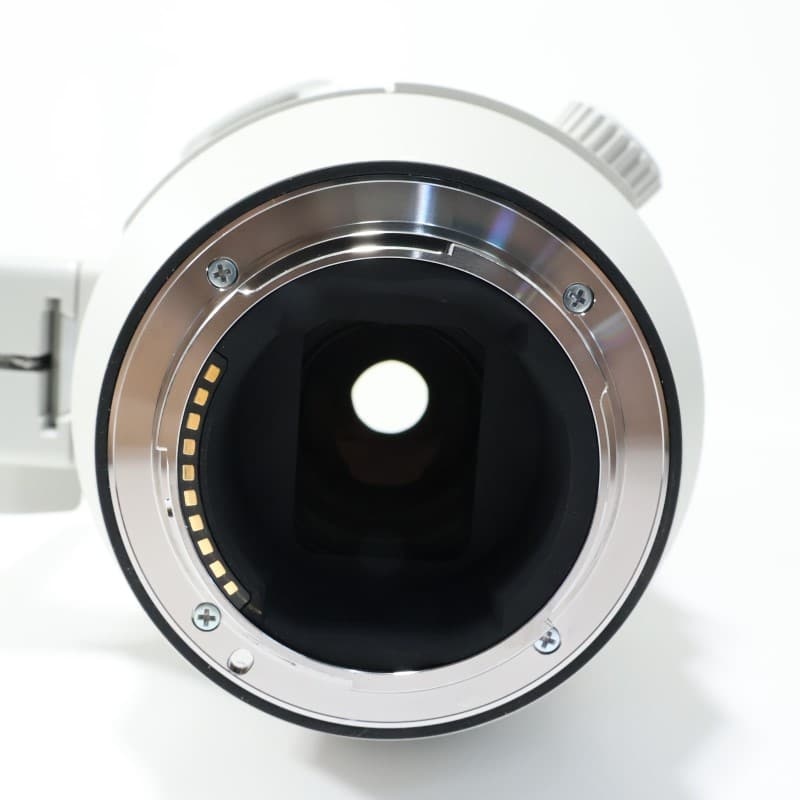 FE 200-600mm F5.6-6.3 G OSS SEL200600G