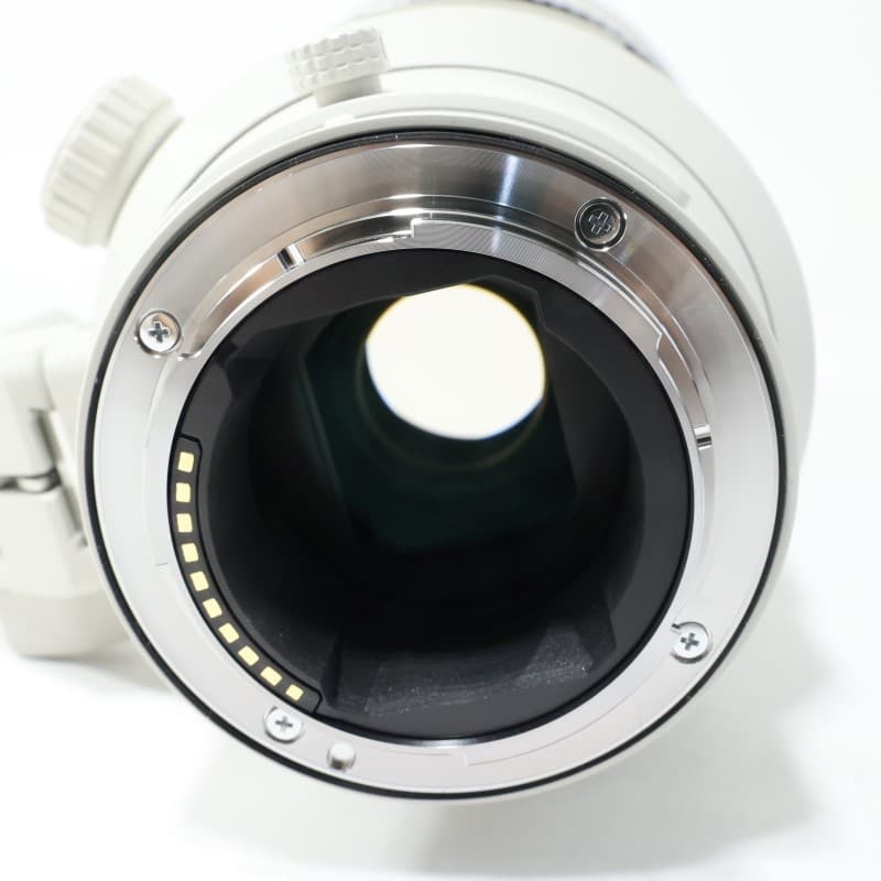 FE 300mm F2.8 GM OSS SEL300F28GM