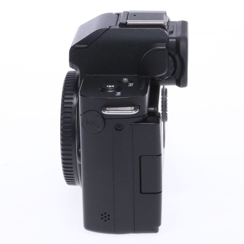 LUMIX G100 ボディ DC-G100