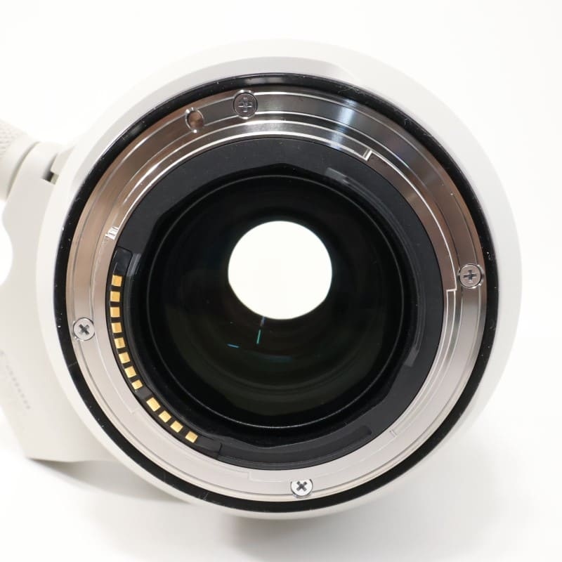 RF70-200mm F2.8 L IS USM